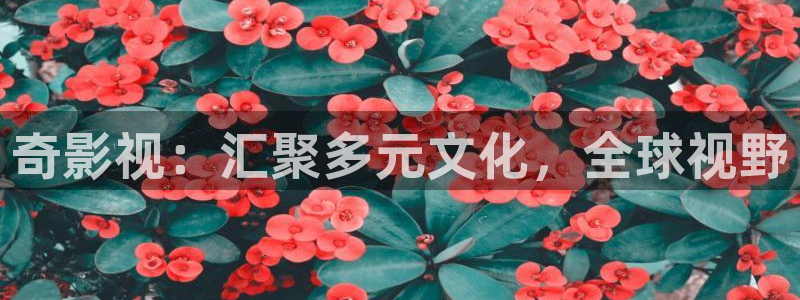 理论片网站国产麻豆：奇影视：汇聚多元文化，全球视野