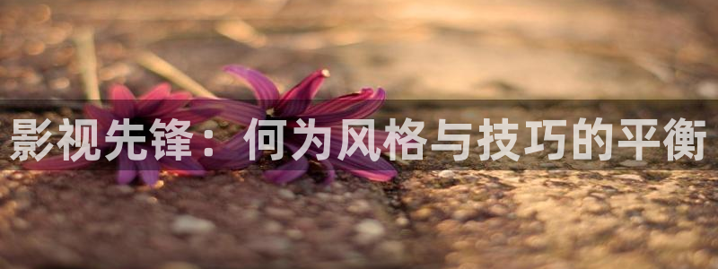 麻豆免费看电影：影视先锋：何为风格与技巧的平衡