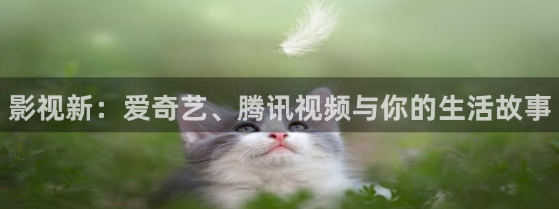 韩国电影麻豆：影视新：爱奇艺、腾讯视频与你的生活故事