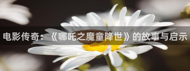 国产成人麻豆电影：电影传奇：《哪吒之魔童降世》的故事与启示