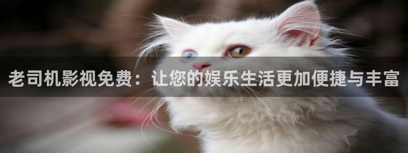 麻豆出品视频在线观看：老司机影视免费：让您的娱乐生活更加便捷与丰富