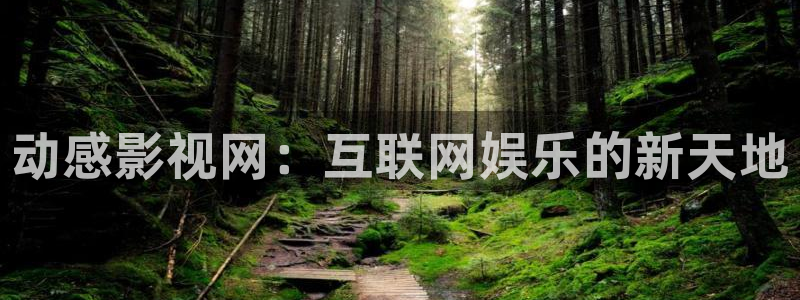 少年阿宾麻豆电影：动感影视网：互联网娱乐的新天地