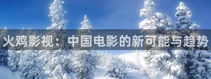 飘花电影网麻豆：火鸡影视：中国电影的新可能与趋势