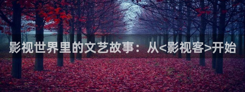 国产麻豆电影在线：影视世界里的文艺故事：从<影视客>开始