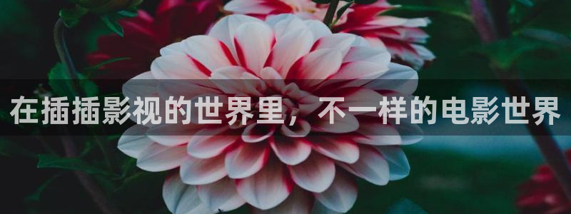 麻豆影视观看：在插插影视的世界里，不一样的电影世界