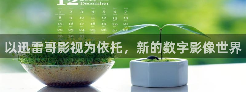 91麻豆精品国产理伦片在线观看：以迅雷哥影视为依托，新的数字影像世界