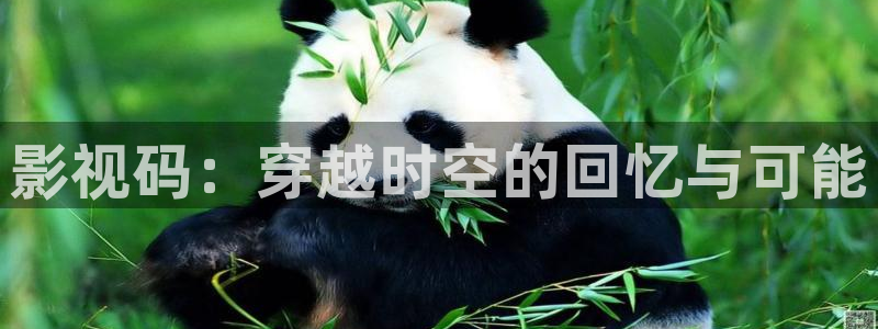 麻豆激情免费电影：影视码：穿越时空的回忆与可能
