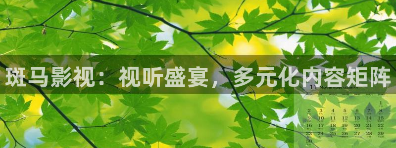 麻豆在线电影：斑马影视：视听盛宴，多元化内容矩阵