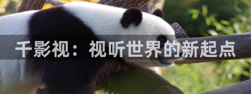 快播电影网址麻豆：千影视：视听世界的新起点